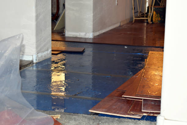 Professional Burst Pipe Cleanup technician working in Tow, TX